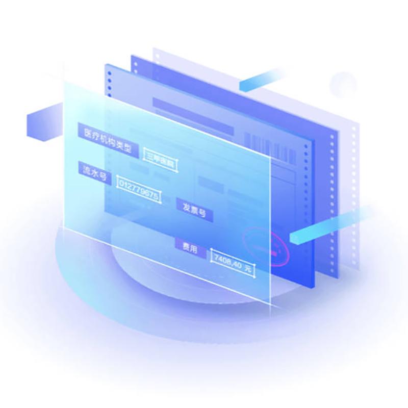 Hospital Bank Customs Warehouse Finance Information OCR Recognition Text Auto Entry Formatting Custom Development - Image 7