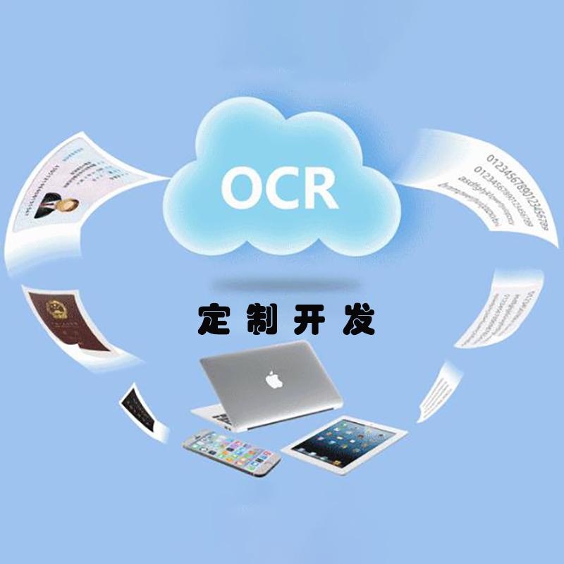 Hospital Bank Customs Warehouse Finance Information OCR Recognition Text Auto Entry Formatting Custom Development - Image 6